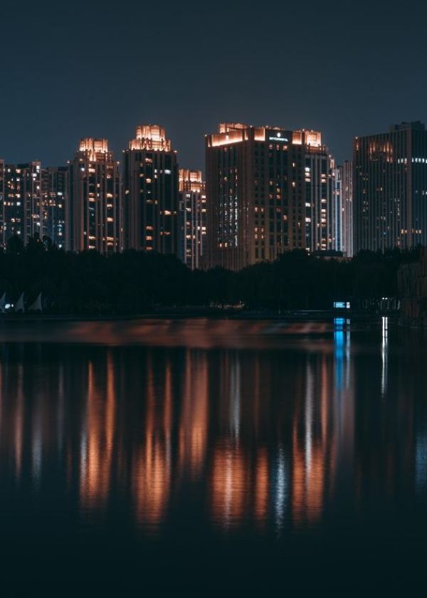 德约科维奇